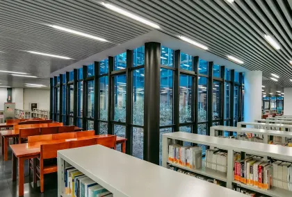 Cazino Lion Wins Cazinou Aplicație mobilă